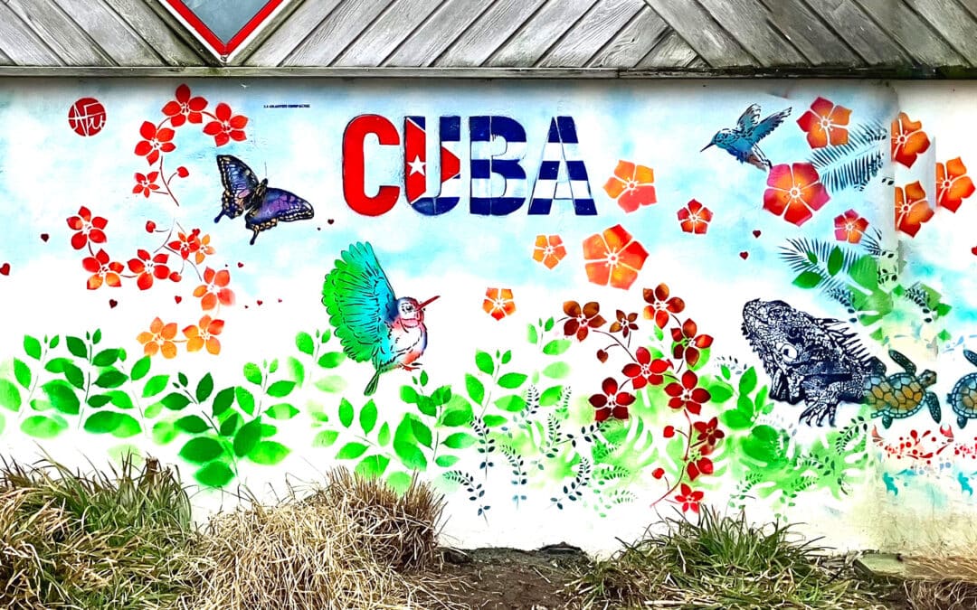 ONDA LATINA – FRESQUE MURALE